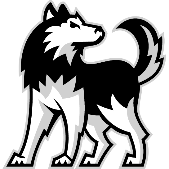 Northern Illinois Huskies 2001-Pres Alternate Logo iron on transfers for fabric